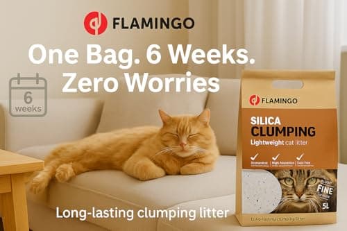 Litère pour chats Flamingo, granulés de charbon, parfum neutre, douce pour les pattes, 5L pour 6 semaines, neutralise le