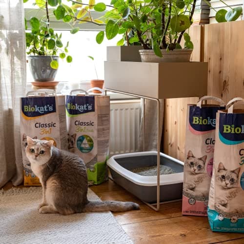 Biokat’s Classic Fresh 3in1 parfum printemps - Litière pour chats - Idéal pour les propriétaires de chats actifs - 1 sac