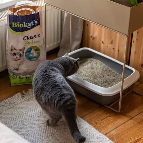 Biokat’s Classic Fresh 3in1 parfum printemps - Litière pour chats - Idéal pour les propriétaires de chats actifs - 1 sac